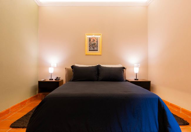 Apartment in San Miguel de Allende - ROOM 1963