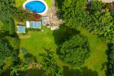 Cabin in Tepoztlán - Cozy Nature Escape in Tepoztlán