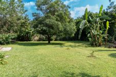 Cabin in Tepoztlán - Tepoztlán Cabin with Mountain Views