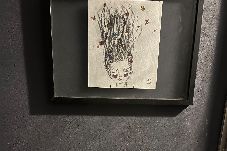 Apartment in Ciudad de México - Depa 3